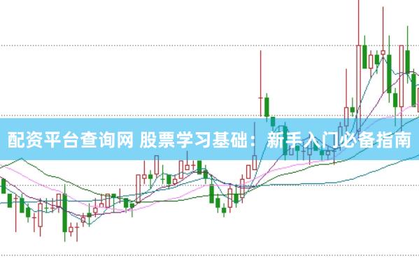 配资平台查询网 股票学习基础：新手入门必备指南