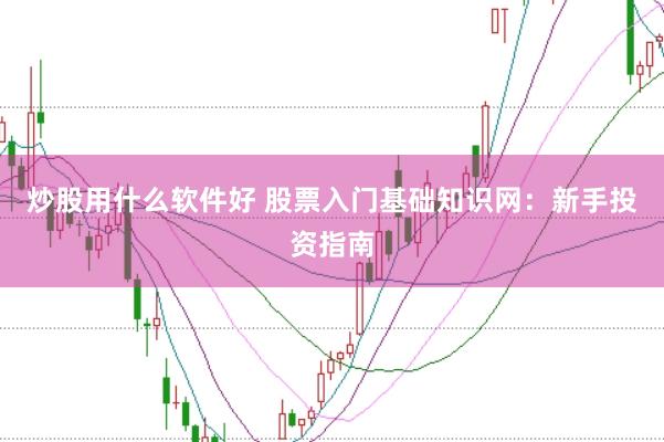 炒股用什么软件好 股票入门基础知识网：新手投资指南