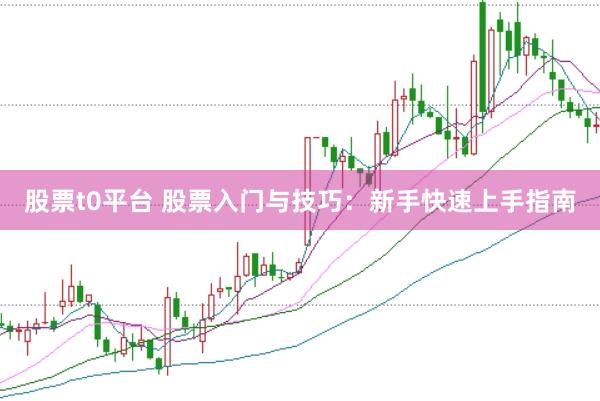 股票t0平台 股票入门与技巧：新手快速上手指南