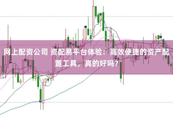 网上配资公司 资配易平台体验：高效便捷的资产配置工具，真的好吗？